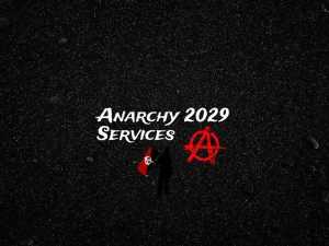 Anarchy 2029 Private Services